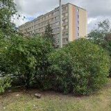 LÉKÁRNA NOVODVORSKÁ