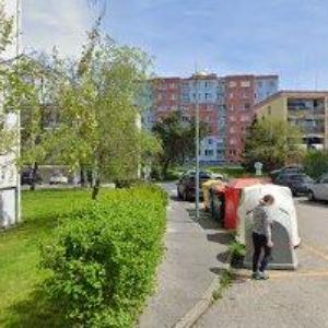 obrazek: avatar FRŇKOVÁ DANA MUDr.