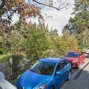 obrazek: avatar ZUBNÍ CENTRUM OŘECHOVKA