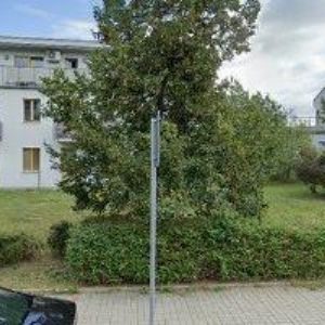 obrazek: avatar ZÁCHRANNÁ SLUŽBA ASOCIACE SAMARITÁNŮ ČESKÉ REPUBLIKY PRAHA-ZÁPAD