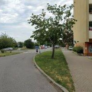 obrazek: avatar SUCHÁ MARTINA MUDr.