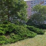 KOČOVÁ MARIANA MUDr.