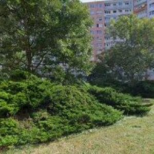 obrazek: avatar KOČOVÁ MARIANA MUDr.