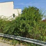 NEUMANNOVÁ SVĚTLUŠE MUDr.