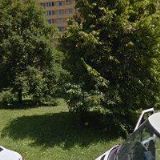 ŘÁDEK TOMÁŠ MUDr.