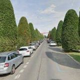 JENÍČKOVÁ DAGMAR MUDr.