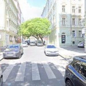 obrazek: avatar JARKOVSKÝ ALAN-APPLETREE