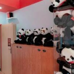 obrazek: avatar BERGEROVÁ YVONNE MUDr.