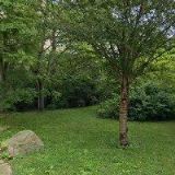 HALASZOVÁ ELIŠKA PhDr.