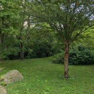 obrazek: avatar HALASZOVÁ ELIŠKA PhDr.