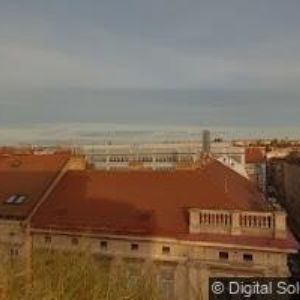 obrazek: avatar PFIZER, spol. s r.o.