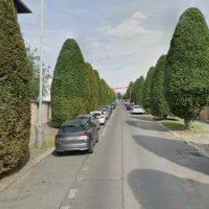 obrazek: avatar VESELÝ TOMÁŠ MUDr.