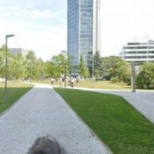 obrazek: avatar SCHILL DENTAL CLINIC PRAHA, s.r.o.