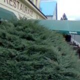 LÉKÁRNA STAROCHODOVSKÁ s.r.o.