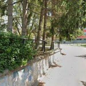 obrazek: avatar TOCHÁČKOVÁ DANA MUDr.