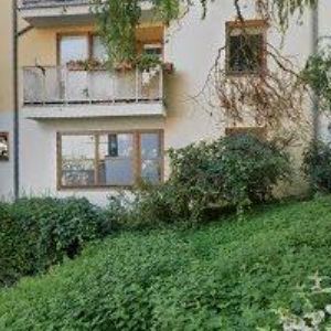 obrazek: avatar MAHLER MARTIN PhDr.