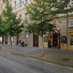 obrazek: avatar WALDOVÁ MARIE MUDr.