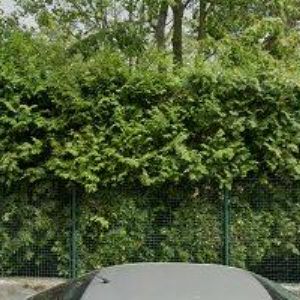 obrazek: avatar NOVÁKOVÁ IRENA MUDr.