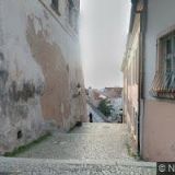 HORKÁ EVA MUDr.-MŮJ HOMEOPAT