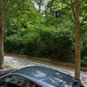 obrazek: avatar SOUKUPOVÁ MARTA MUDr.