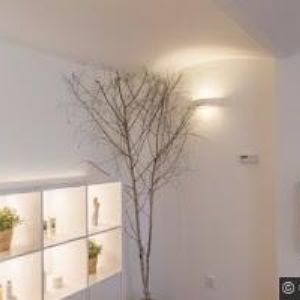 obrazek: avatar JÁGROVÁ MARIE MUDr.