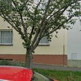 NOVOTNÁ LIDMILA MUDr.