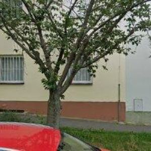 obrazek: avatar NOVOTNÁ LIDMILA MUDr.