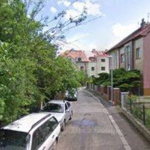 obrazek: avatar RATHAUSOVÁ LEA PhDr.