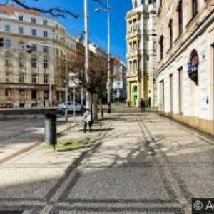 obrazek: avatar ZUBNÍ H + MM, spol. s r.o.