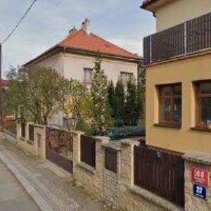 obrazek: avatar ČERVENKOVÁ ALENA MUDr.