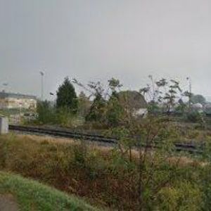 obrazek: avatar REJCHRTOVÁ DANIELA MUDr.