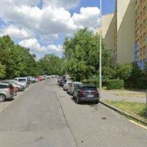 obrazek: avatar ČESELSKÁ PETRA MUDr.