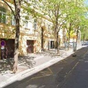 obrazek: avatar PÁVKOVÁ KATEŘINA MUDr.