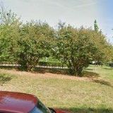 VALENTOVÁ DANA MUDr.