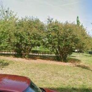 obrazek: avatar VALENTOVÁ DANA MUDr.