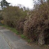 BEAUTY ACTIVE, s.r.o.