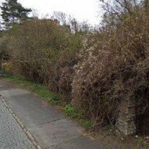 obrazek: avatar BEAUTY ACTIVE, s.r.o.