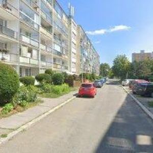 obrazek: avatar MANHARTOVÁ EVA-EMDENT