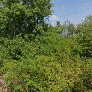 obrazek: avatar ZDRAVÍDOMŮ s.r.o.