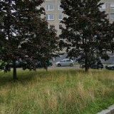 KRUTSKÝ JAN-KOVORYTINY