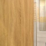 PAVLÍČKOVÁ KATEŘINA