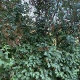 KRISTIÁN, spol. s r.o.