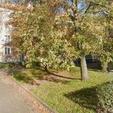 Mgr. ZDEŇKA OBTULOVIČOVÁ, s.r.o.