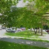 KAVANOVÁ LADISLAVA Mgr.