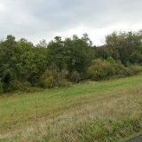 AUTOSERVIS CHLOUBA s.r.o.