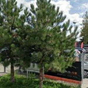 obrazek: avatar AUTOKLAPKA.CZ