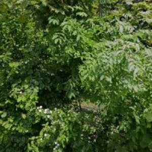 obrazek: avatar FPV TECHNIKA s.r.o.