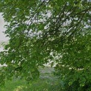 obrazek: avatar KEMPNÝ ROSTISLAV