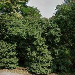 obrazek: avatar SPECIALISTA s.r.o.