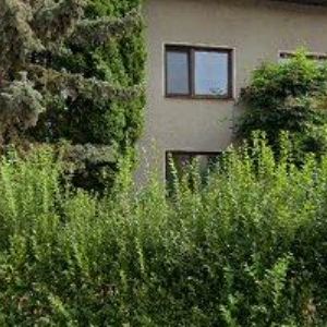 obrazek: avatar NĚMEČEK VOJTĚCH